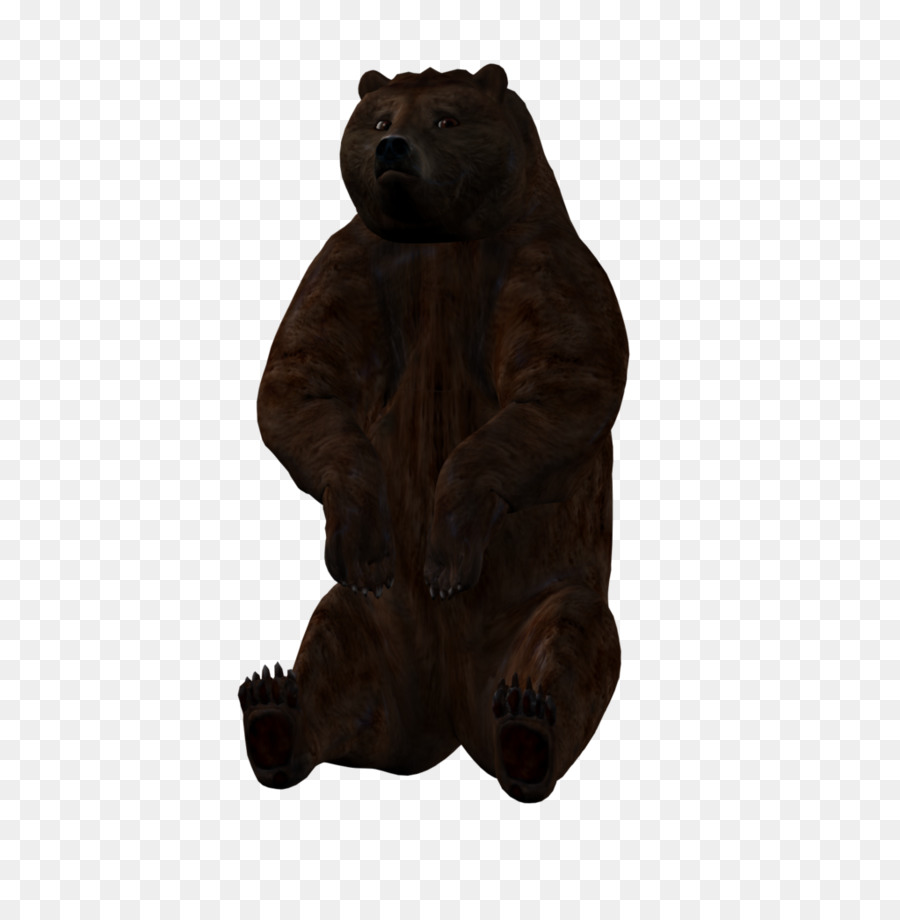 гризли，медведь PNG