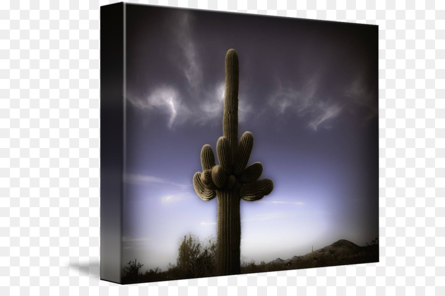 Citroen Cactus M，Stock Photography PNG