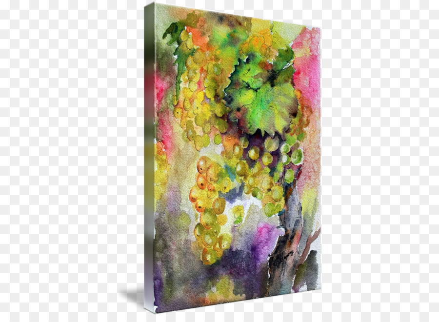 виноград，акварельная живопись PNG