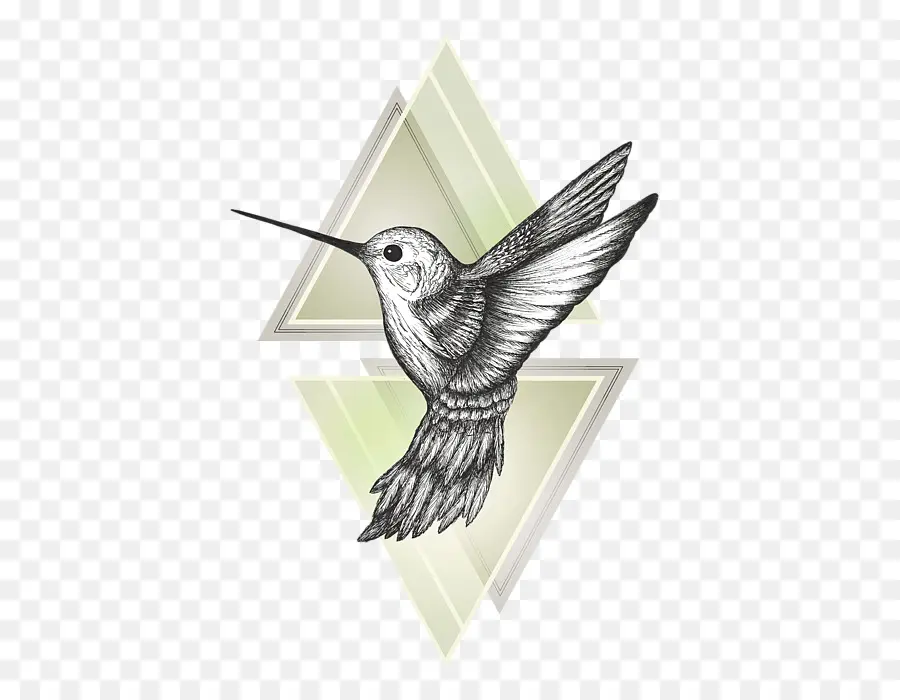Колибри，рисунок PNG