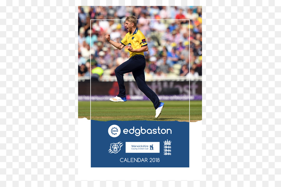 Поль свободно. Edgbaston Cricket. Playfair Cricket Annual 2015.