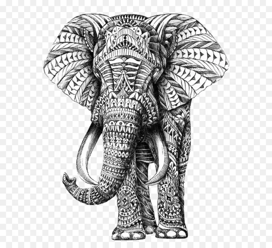 рисунок，слоновые PNG