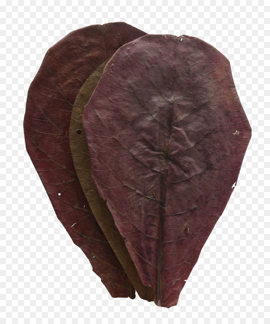 лист，бордовые PNG