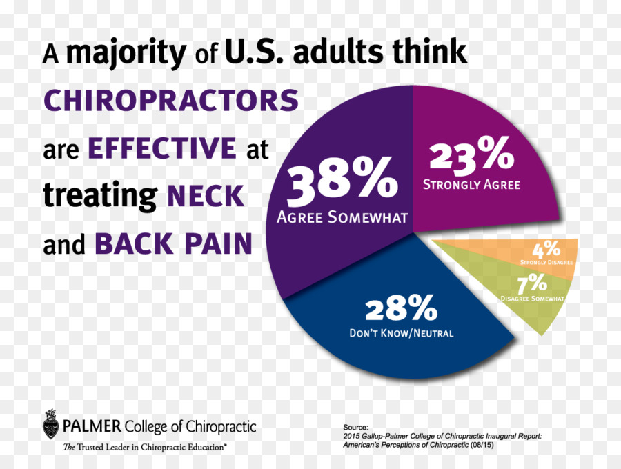 Палмер колледжа хиропрактики，боли в спине PNG