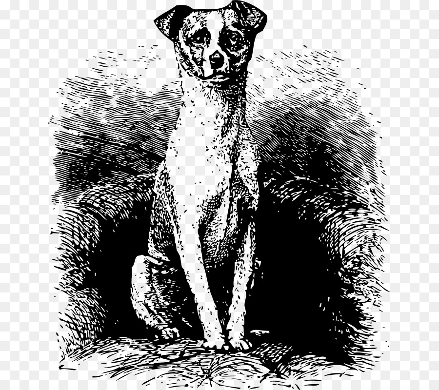 собака，рисунок PNG