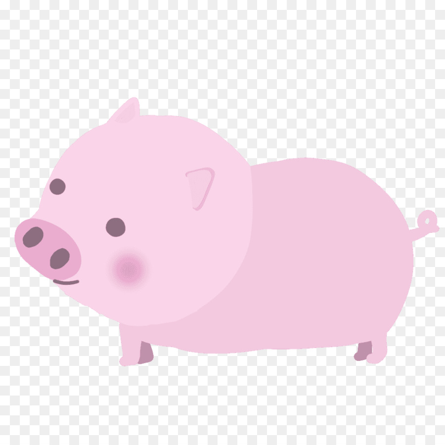 свинья，розовый M PNG