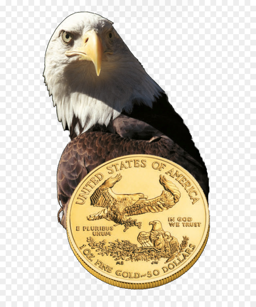 белоголовый Орлан，монетный двор США PNG