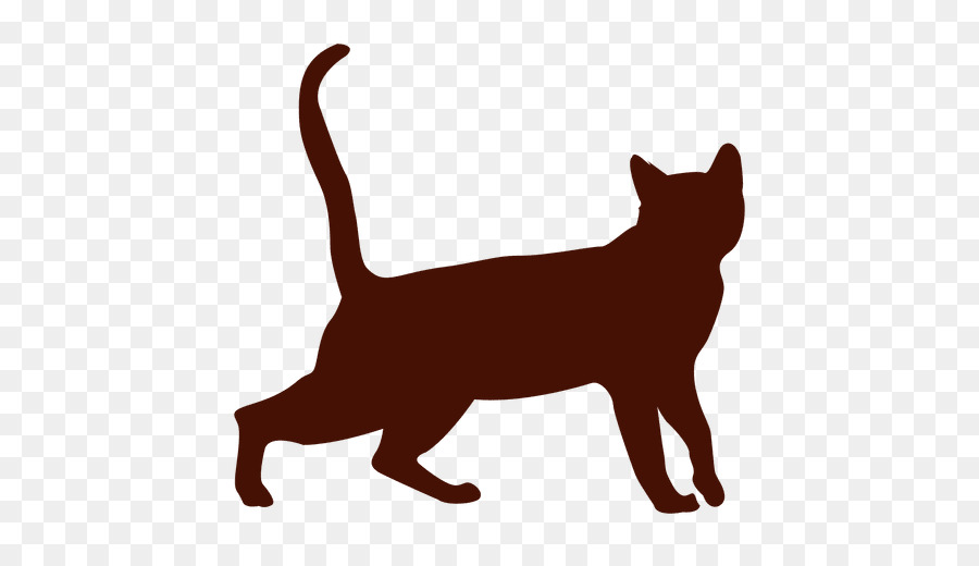 британская короткошерстная，персидская кошка PNG