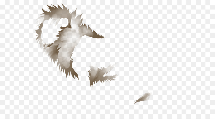 белоголовый Орлан，Лев PNG