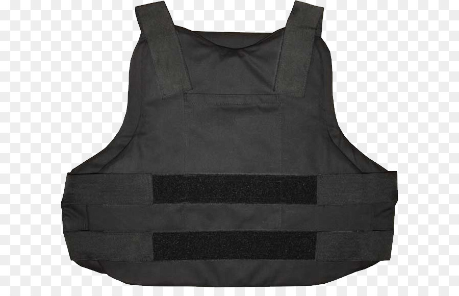 Бронежилет роблокс. Bulletproof Vest бронежилет. T Shirt Roblox бронежилет. Бронежилет (t.g. Faust body Armor). RAV 05 бронежилет.