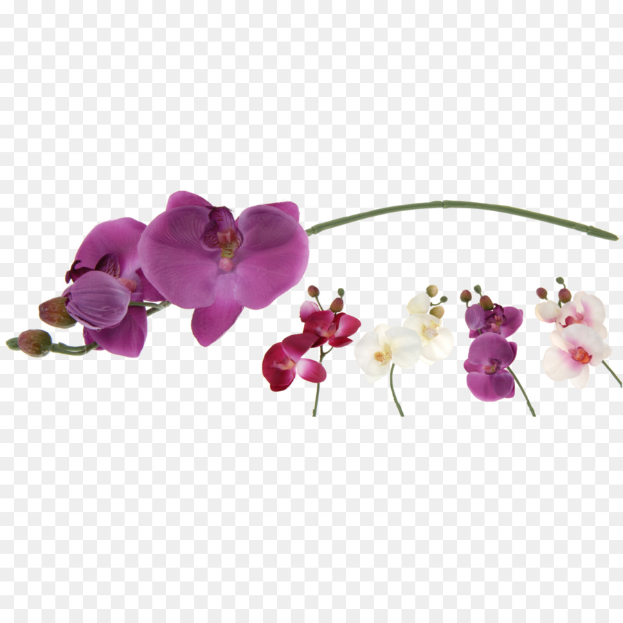 мотылек орхидеи，искусственный цветок PNG