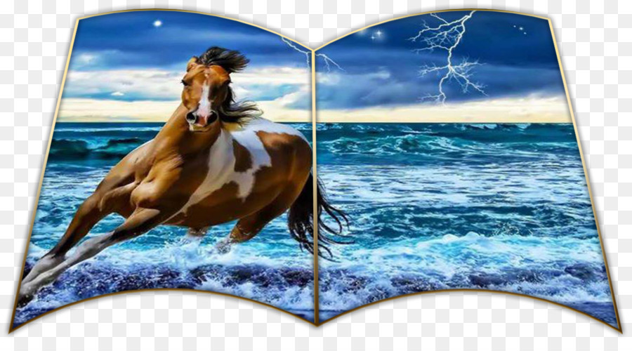 море，лошадь PNG