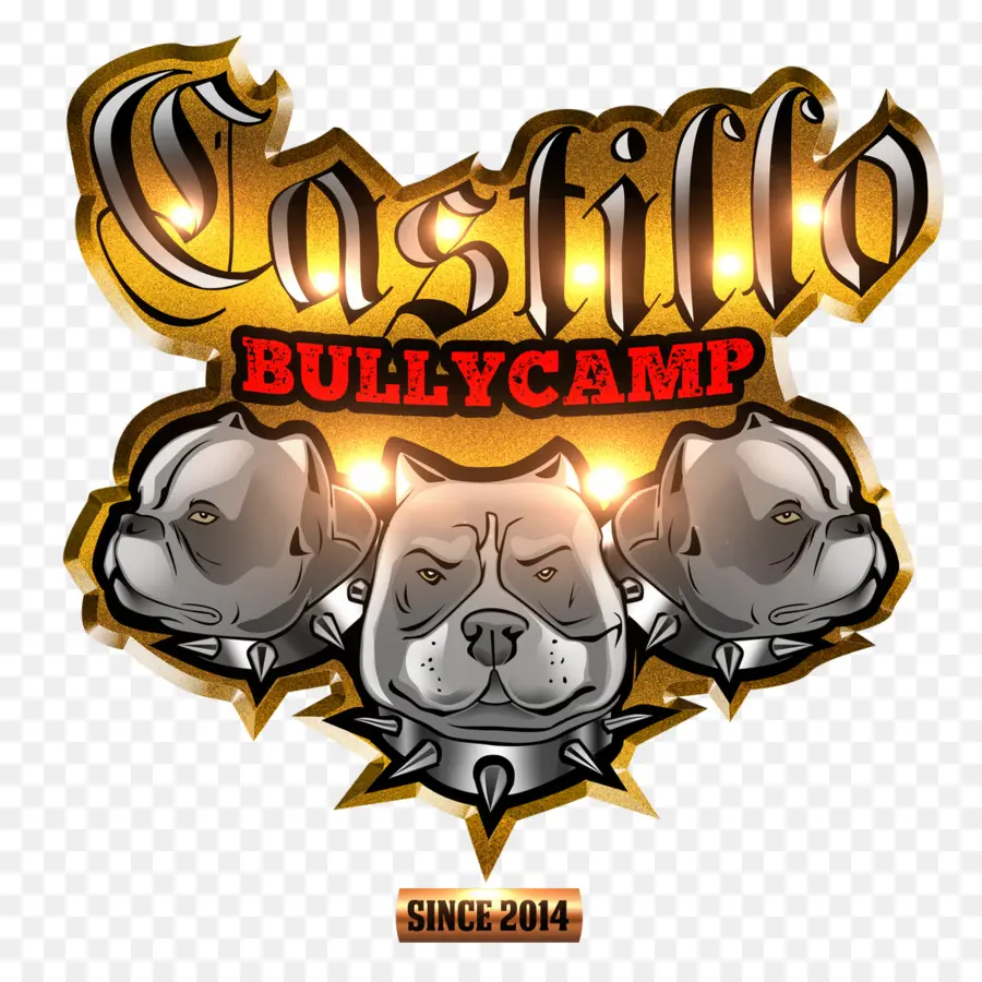 Логотип Кастильо Bullycamp，Бренд PNG