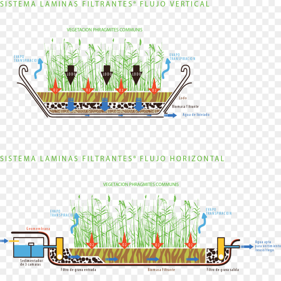 водные ресурсы，дерево PNG