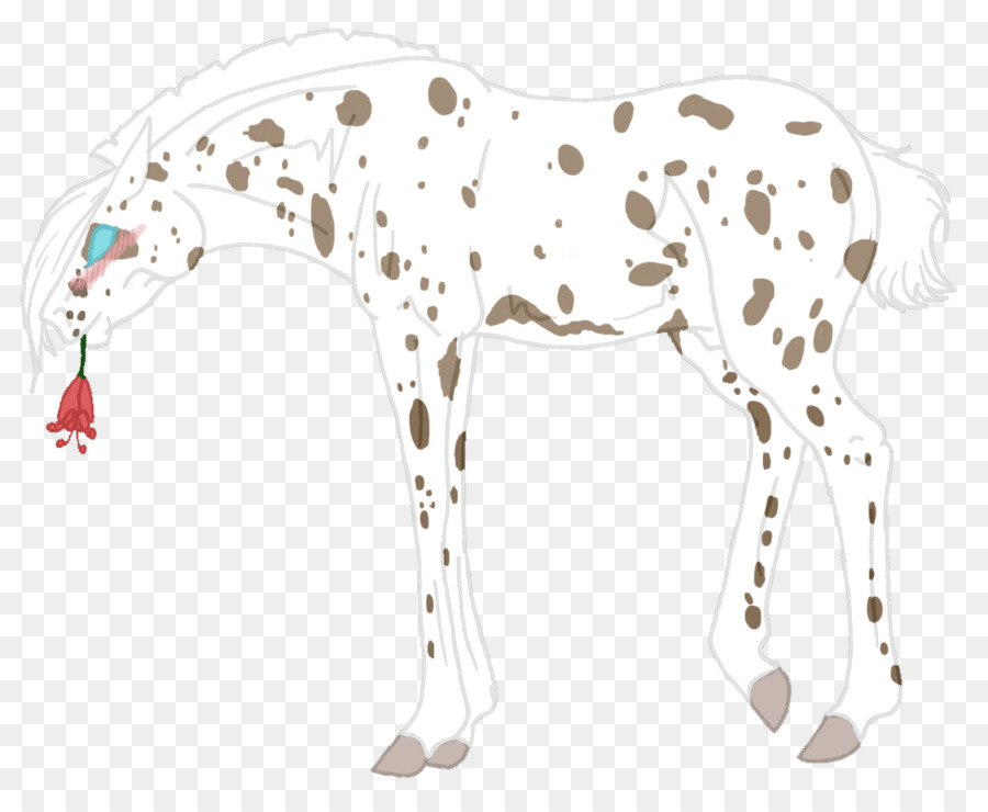 далматин собака，лошадь PNG