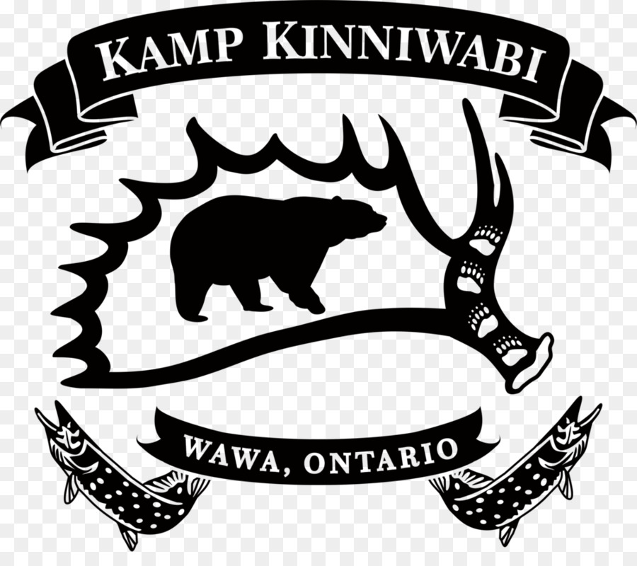 Камп Kinniwabi，американский черный медведь PNG