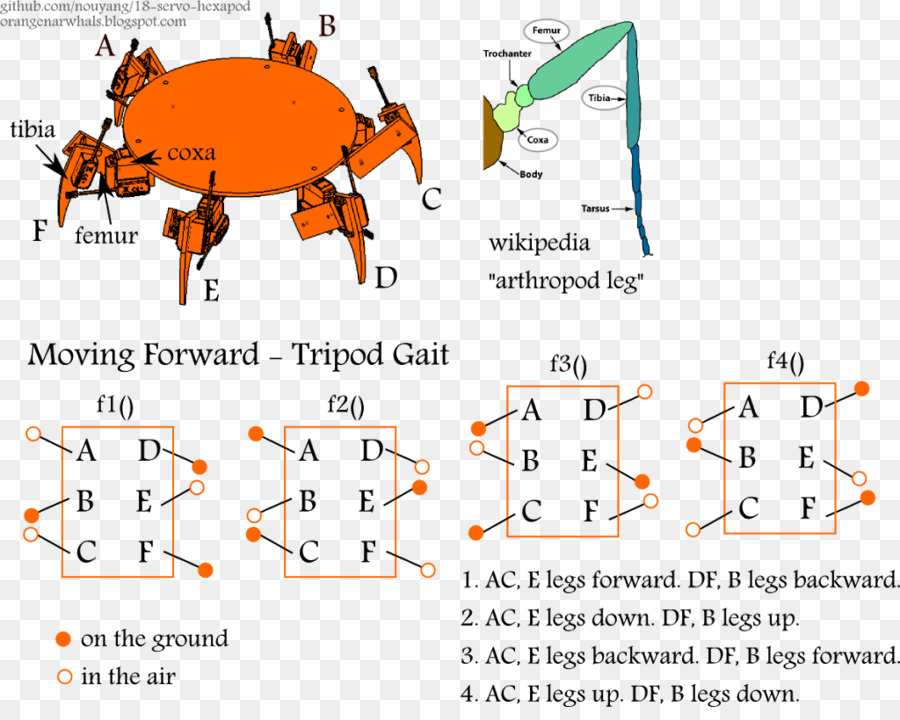 Схема походки на штативе，членистоногое PNG