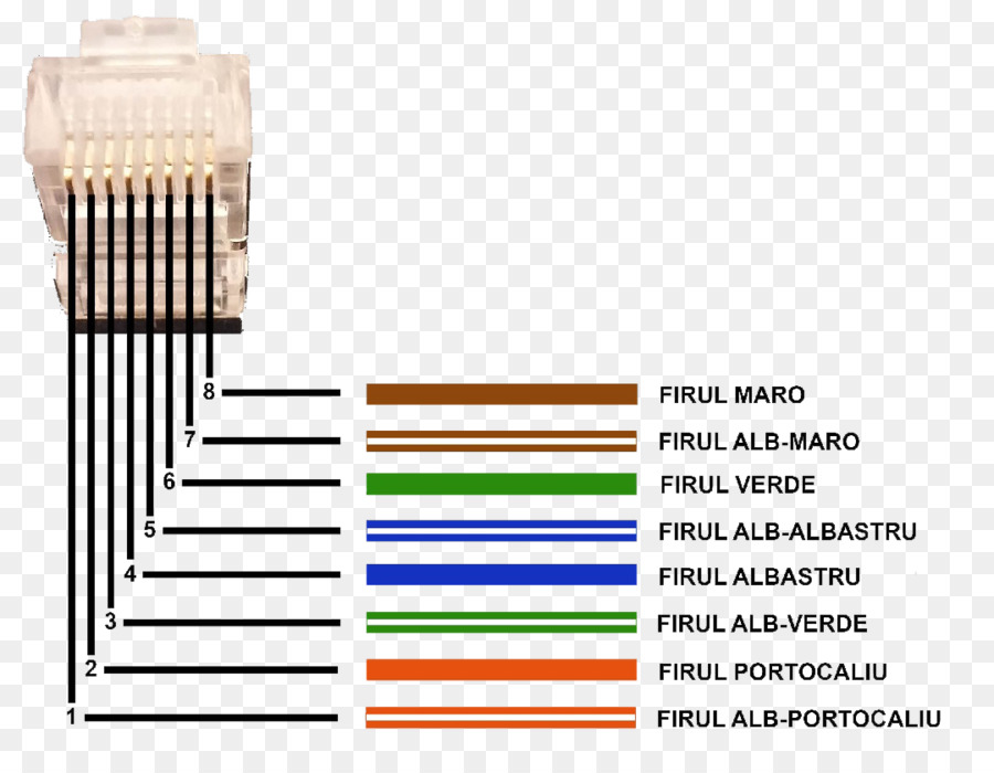 витая пара，По 8p8c PNG