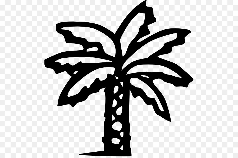 Arecaceae，дерево PNG