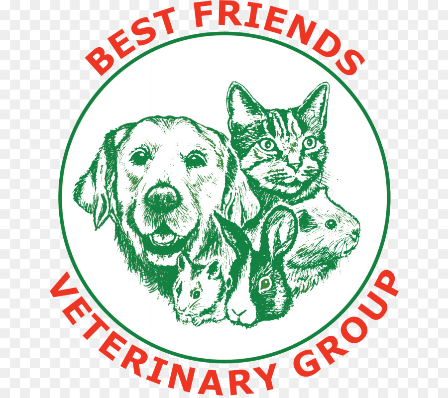 лучшие друзья ветеринаров розничная торговля，усы PNG