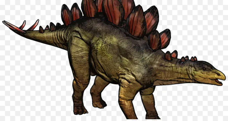 тираннозавр，стегозавр PNG