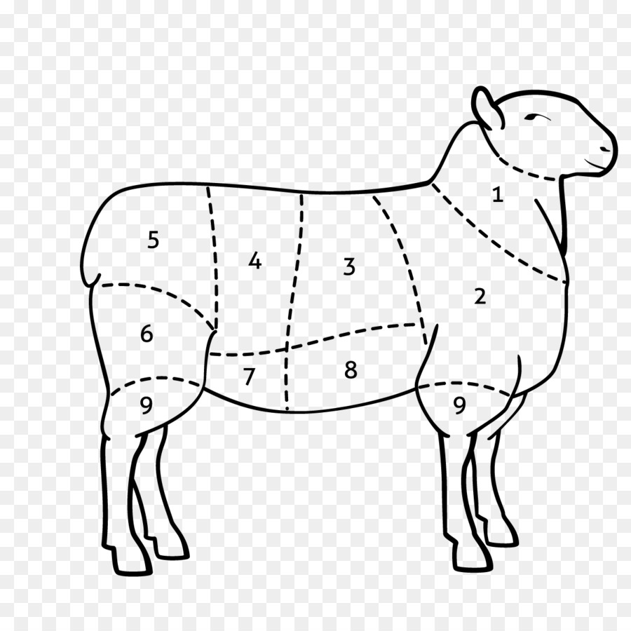 овцы，крупный рогатый скот PNG