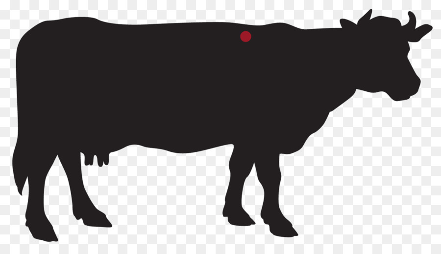 голштино фризской породы крупного рогатого скота，Джерси крупного рогатого скота PNG