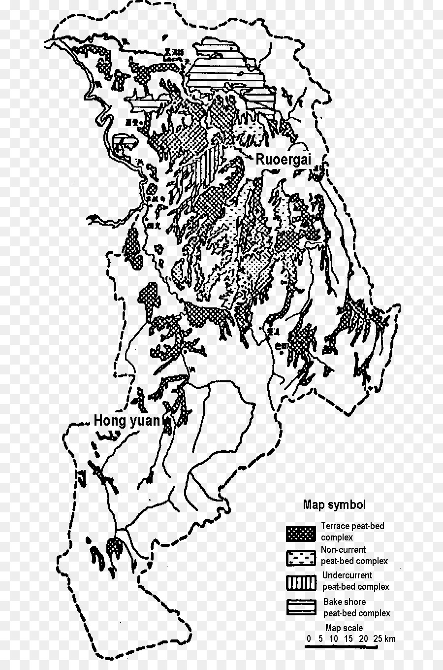 млекопитающее，линии искусства PNG