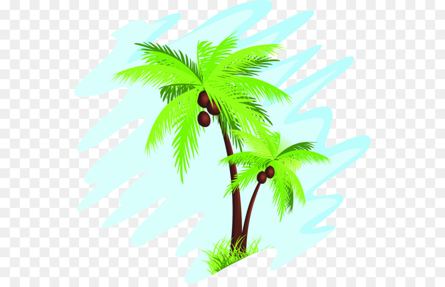 Arecaceae，кокосовое PNG