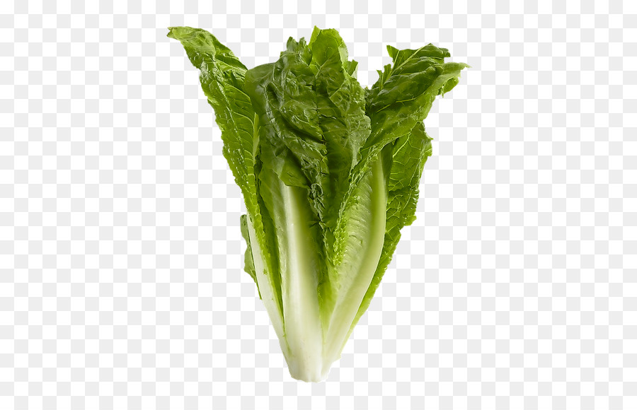 салат Ромэн，Celtuce PNG