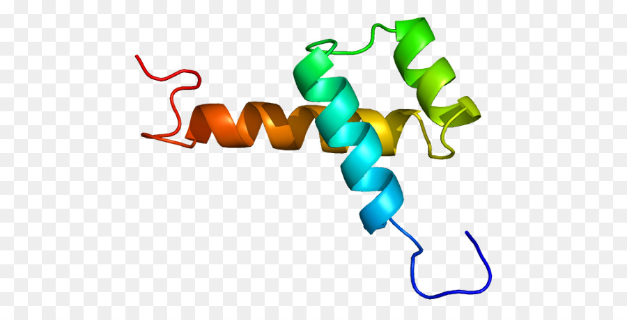 Nk2 файл Homeobox 1，Homeobox PNG