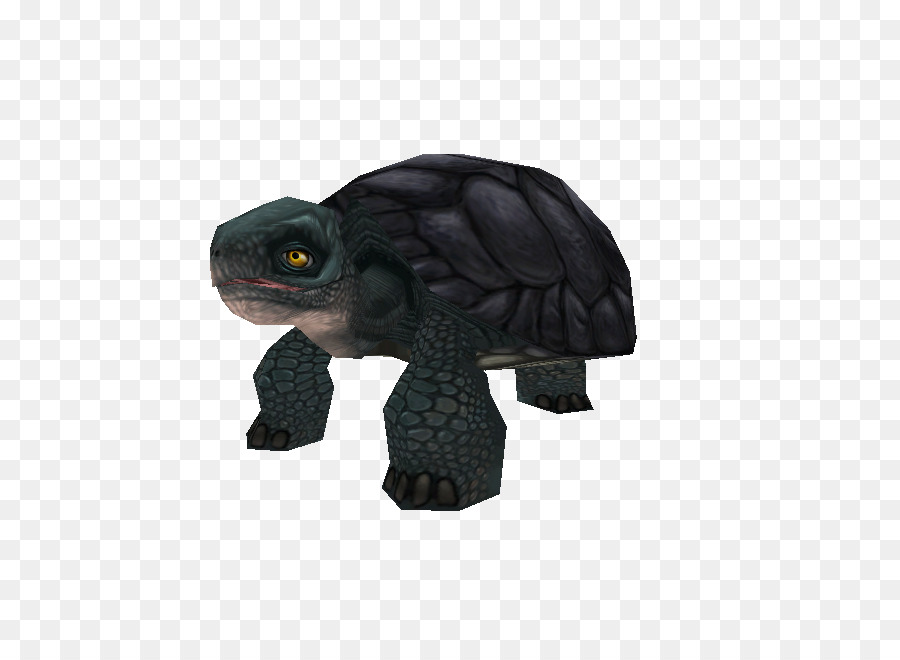 Tortoise，фигурка PNG