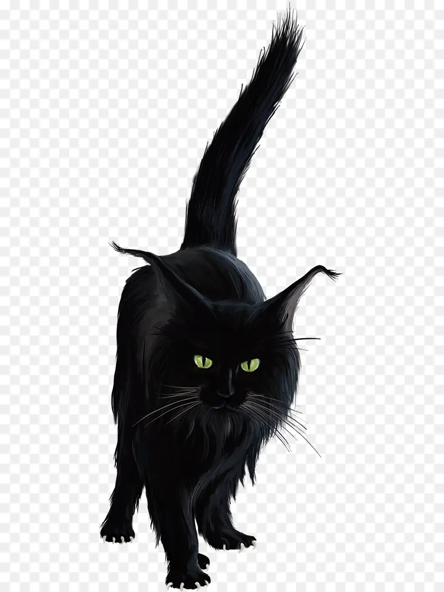 Черная кошка，кошачий PNG