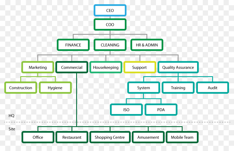 организационная структура，организация PNG