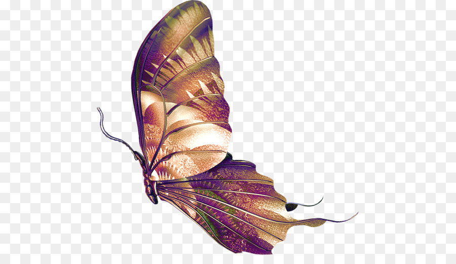 бабочка，де PNG