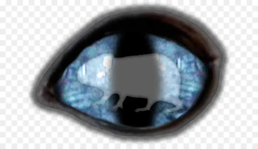 глаз，синий PNG