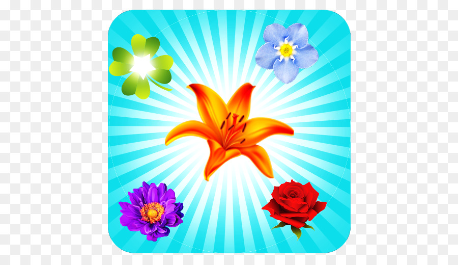 Флора，цветочный дизайн PNG