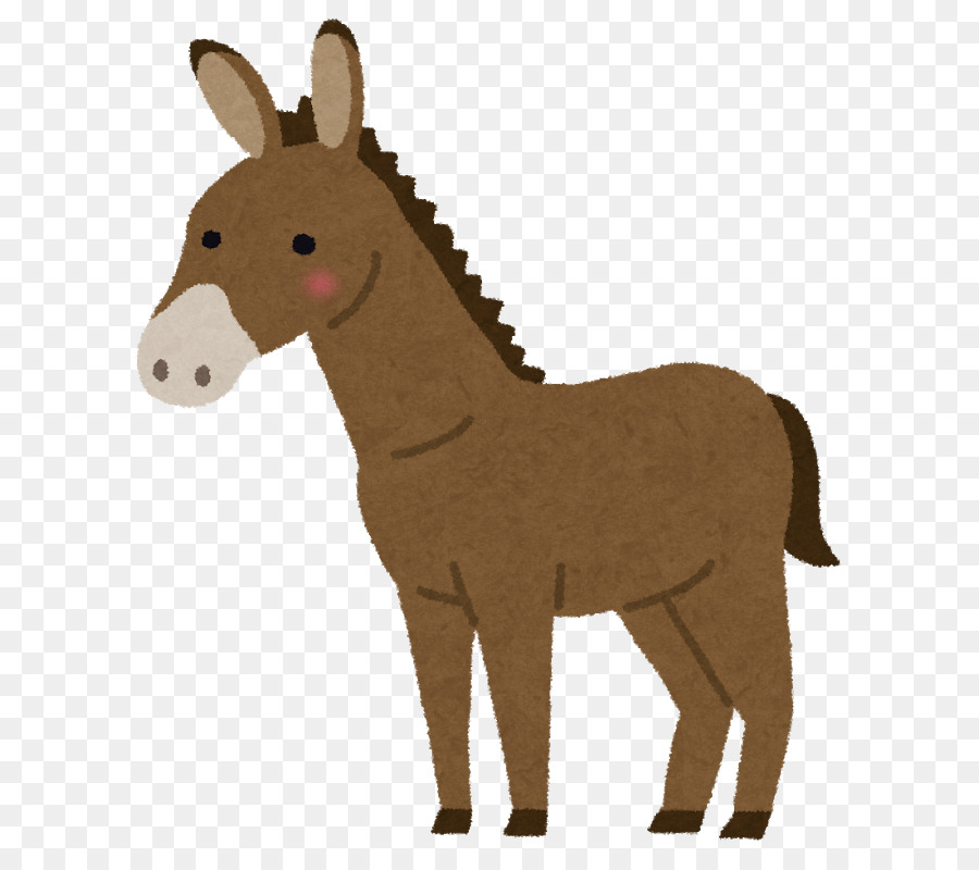 мул，лошадь PNG
