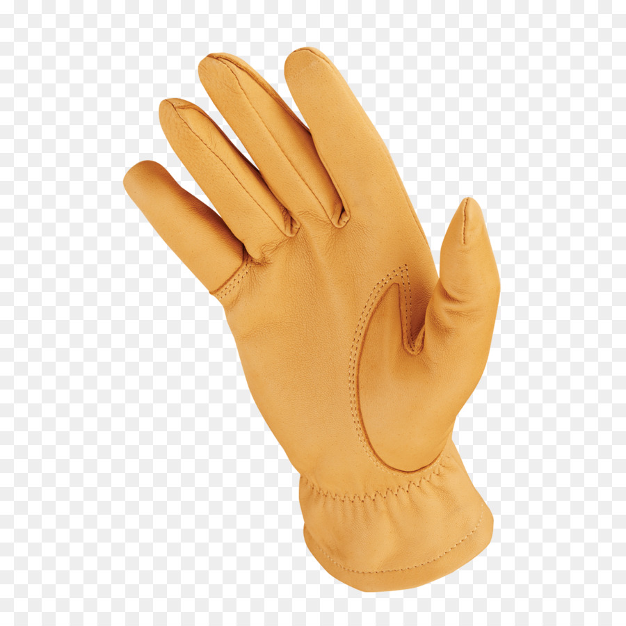 рука модель，палец PNG