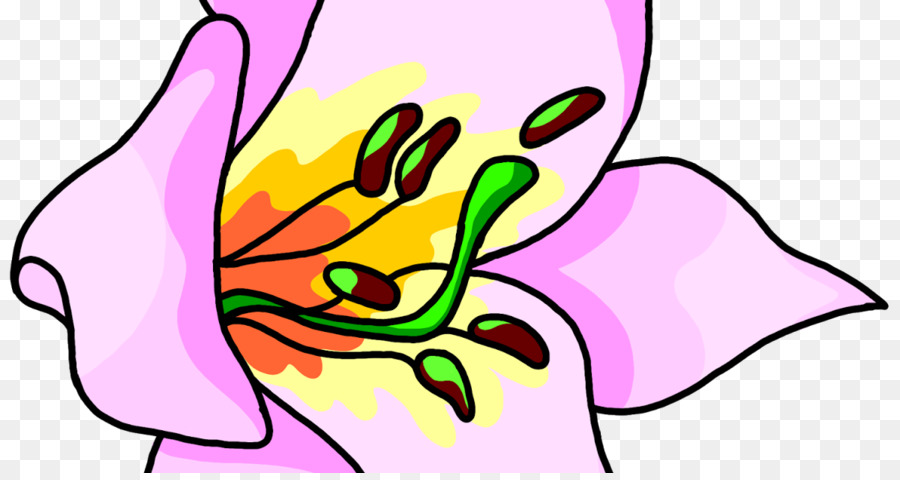 срезанные цветы，цветок PNG