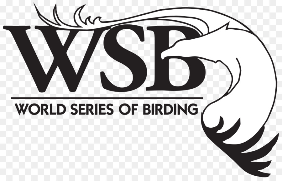 мировой серии Birding，мировой серии млб PNG