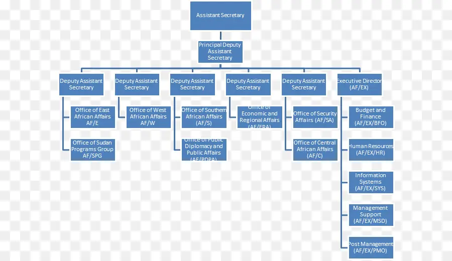 Организационная структура，Иерархия PNG