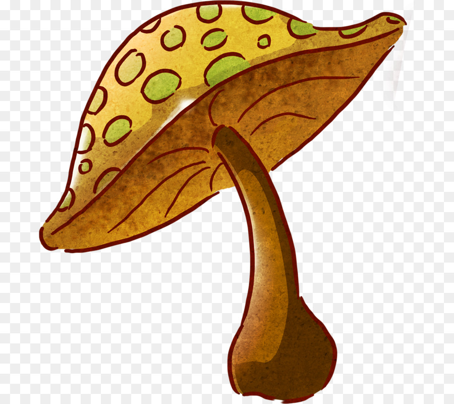 Общий гриб，рисунок PNG