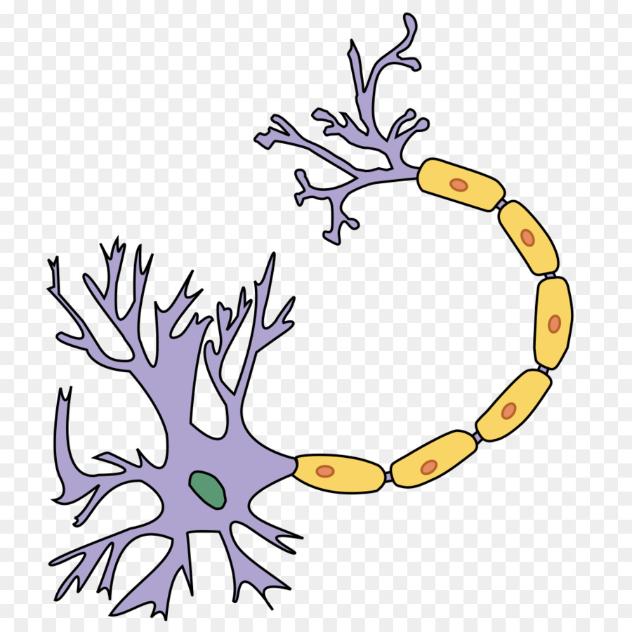 Нервная клетка картинка