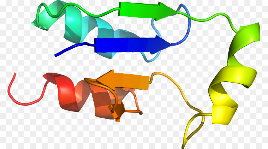 Белковая спираль，Молекула PNG