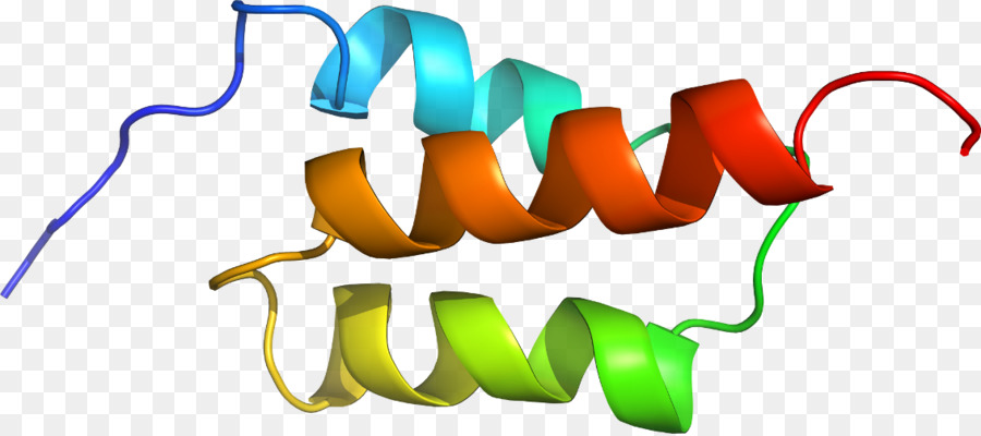 Белковая спираль，Молекула PNG