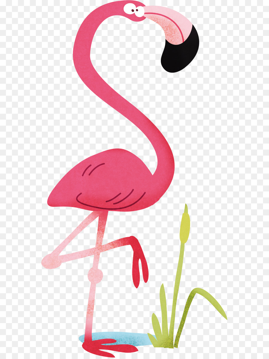 Фламинго для детей