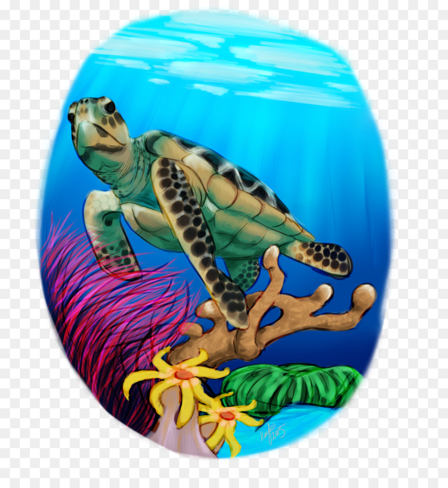морская черепаха，черепаха PNG
