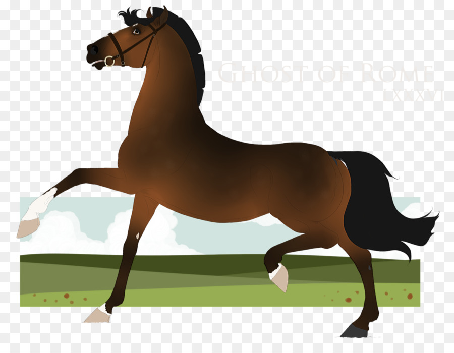 Stallion，Mustang PNG