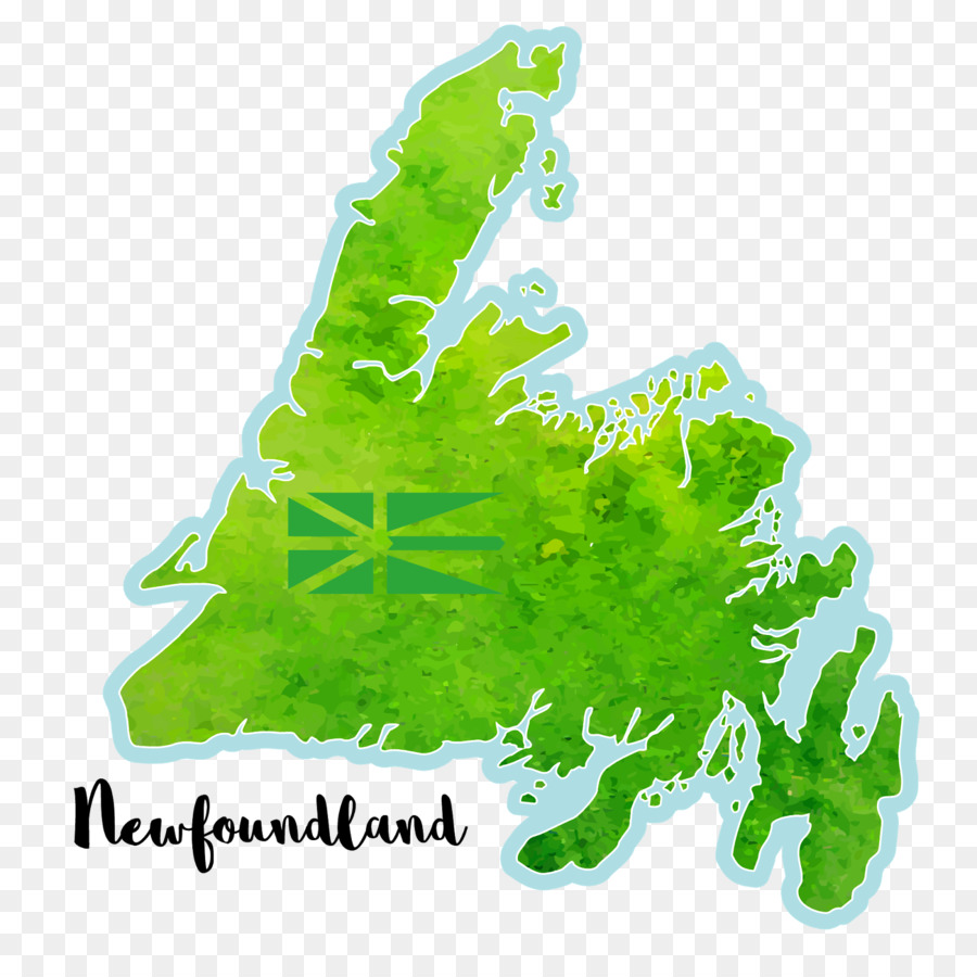 ньюфаундленд и лабрадор，лист PNG